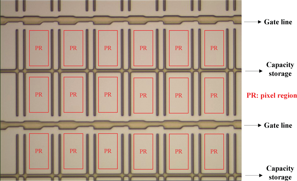 Ijms 10 04498f1