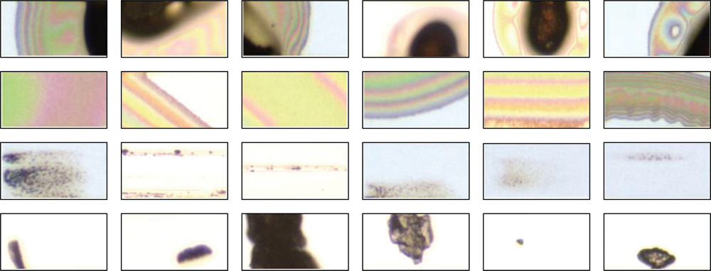 Ijms 10 04498f5