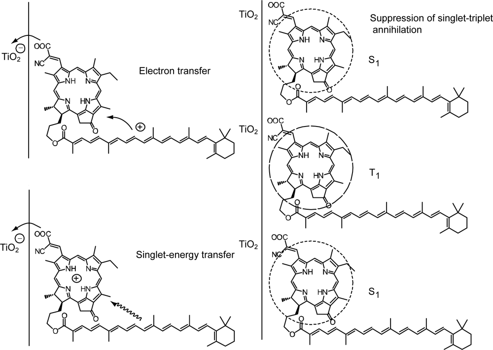 Ijms 10 04575f30 1024