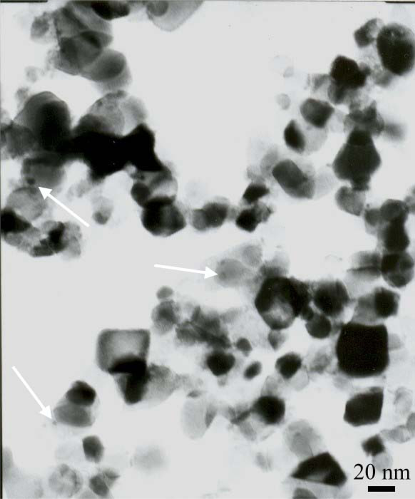 Ijms 10 04707f4
