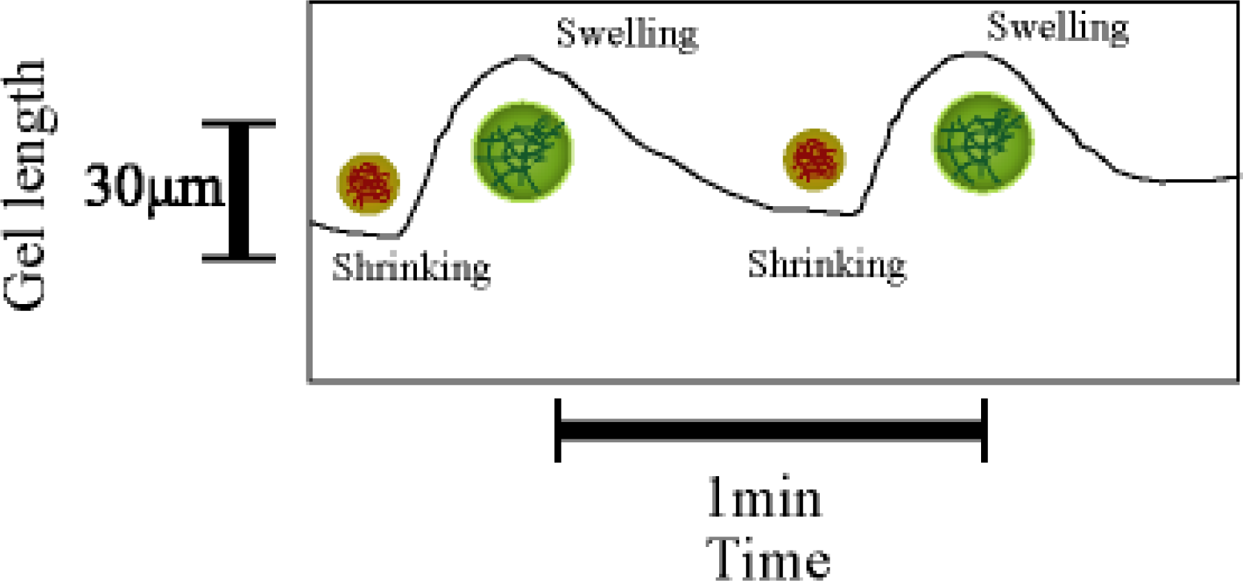 Ijms 11 00052f1