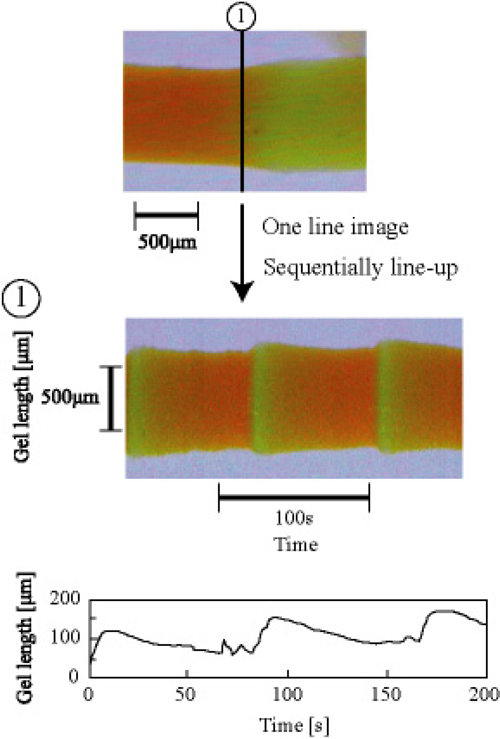 Ijms 11 00052f10