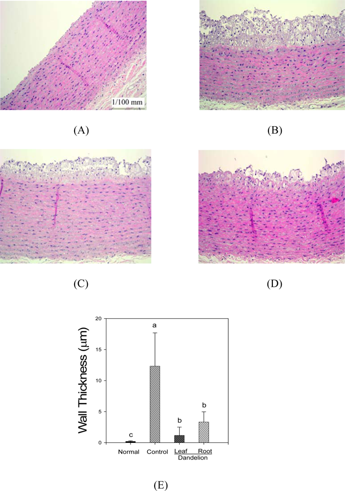 Ijms 11 00067f1