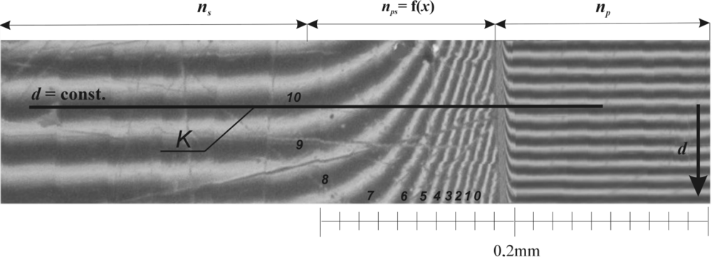 Ijms 11 00532f1
