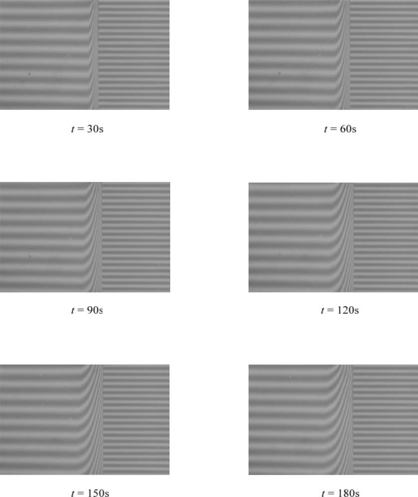 Ijms 11 00532f6