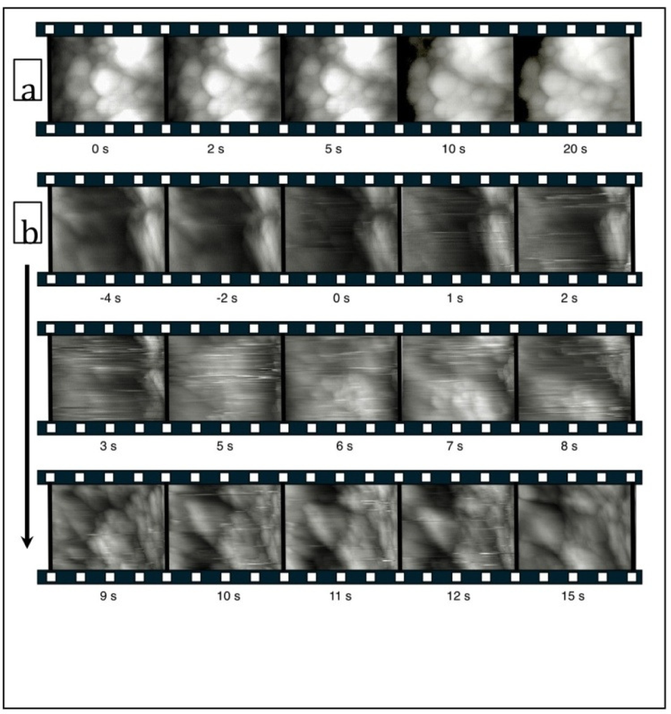 Ijms 11 02523f12