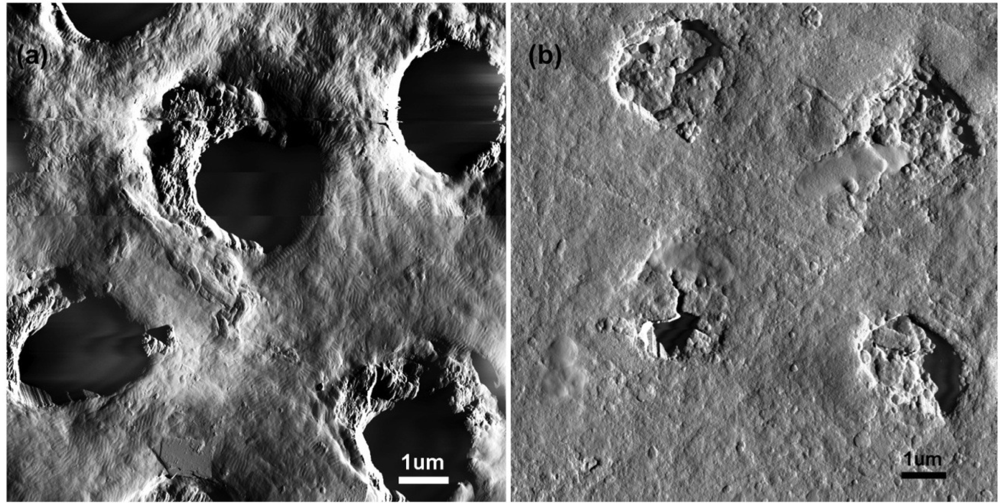 Ijms 11 02523f3