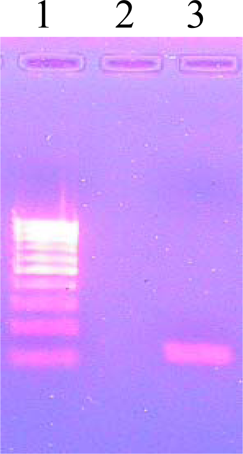 Ijms 11 02670f1