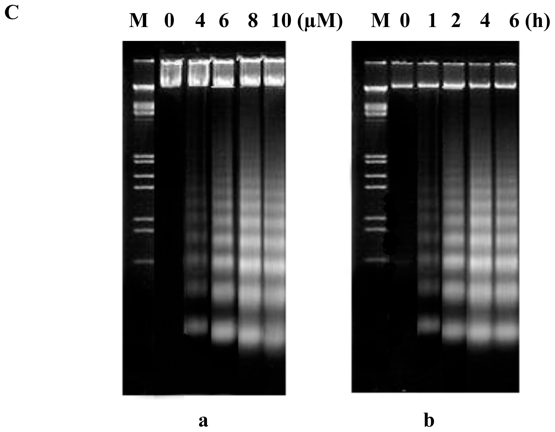 Ijms 11 03087f2d