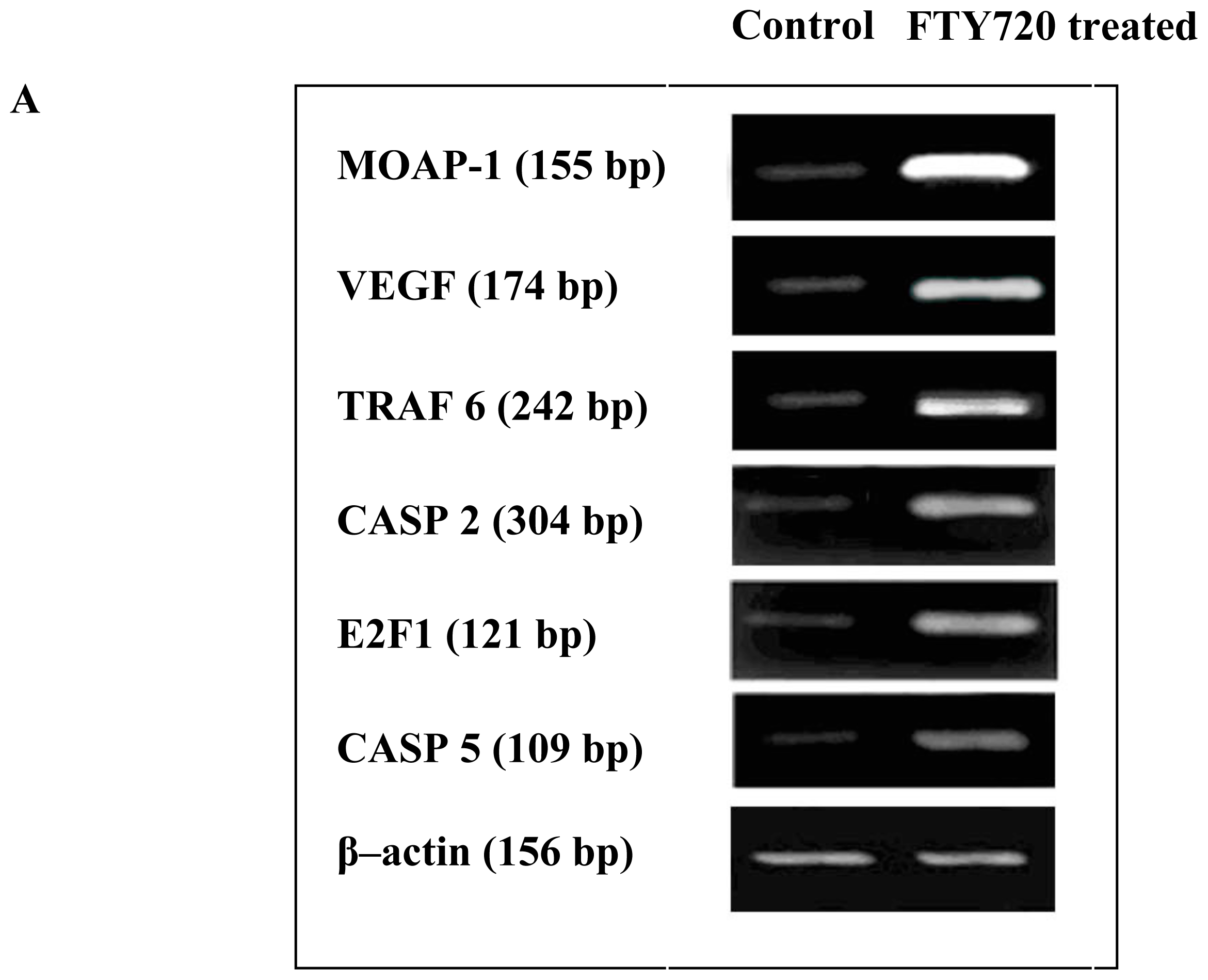 Ijms 11 03087f4a