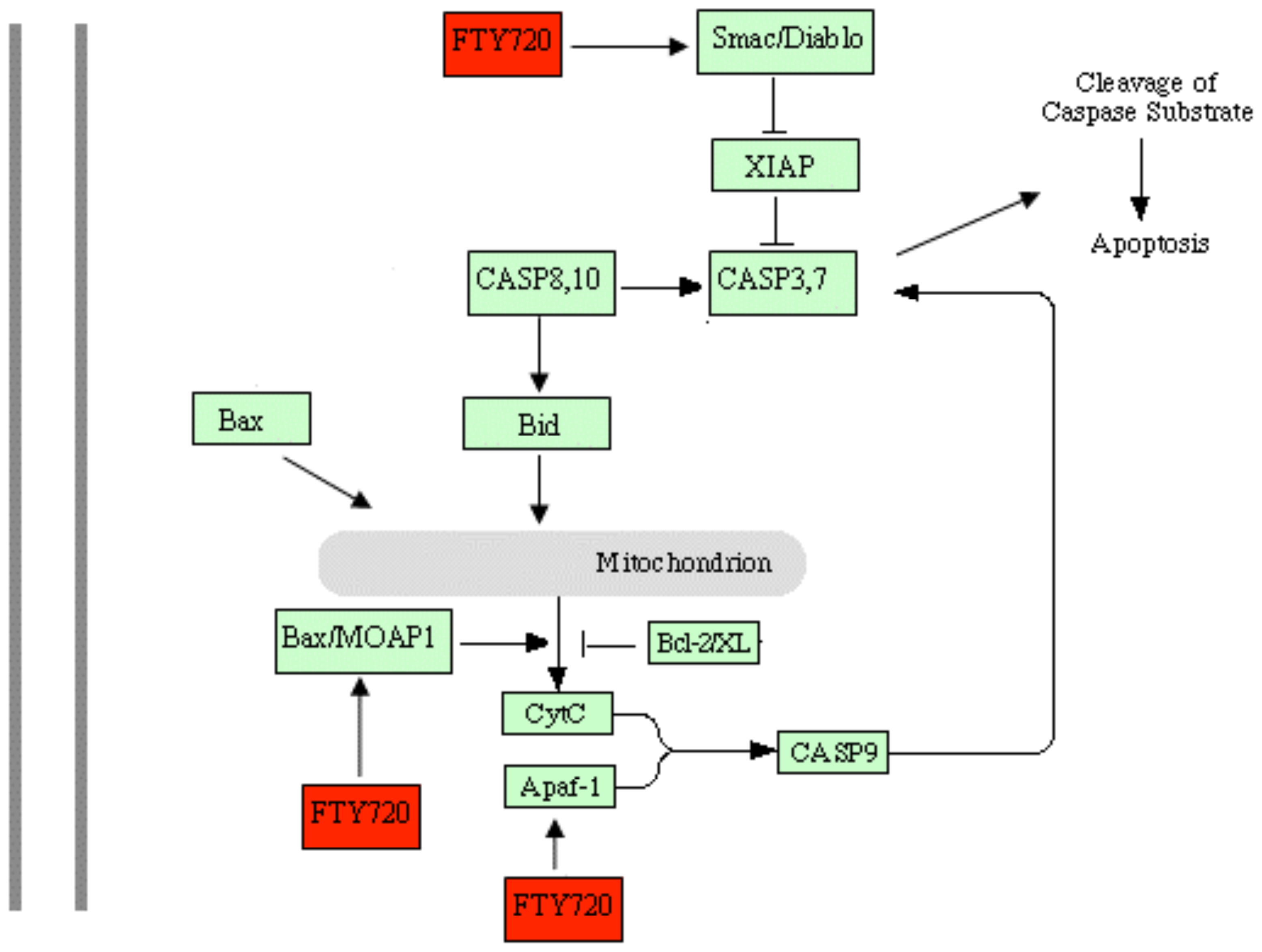 Ijms 11 03087f6