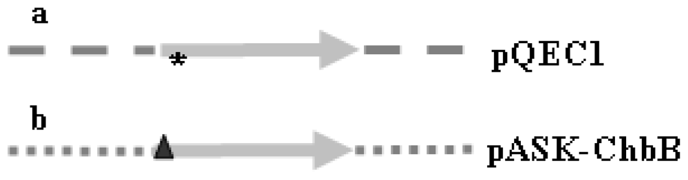Ijms 11 03122f1