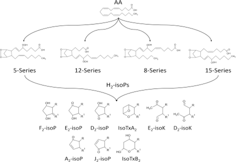 Ijms 11 04631f5