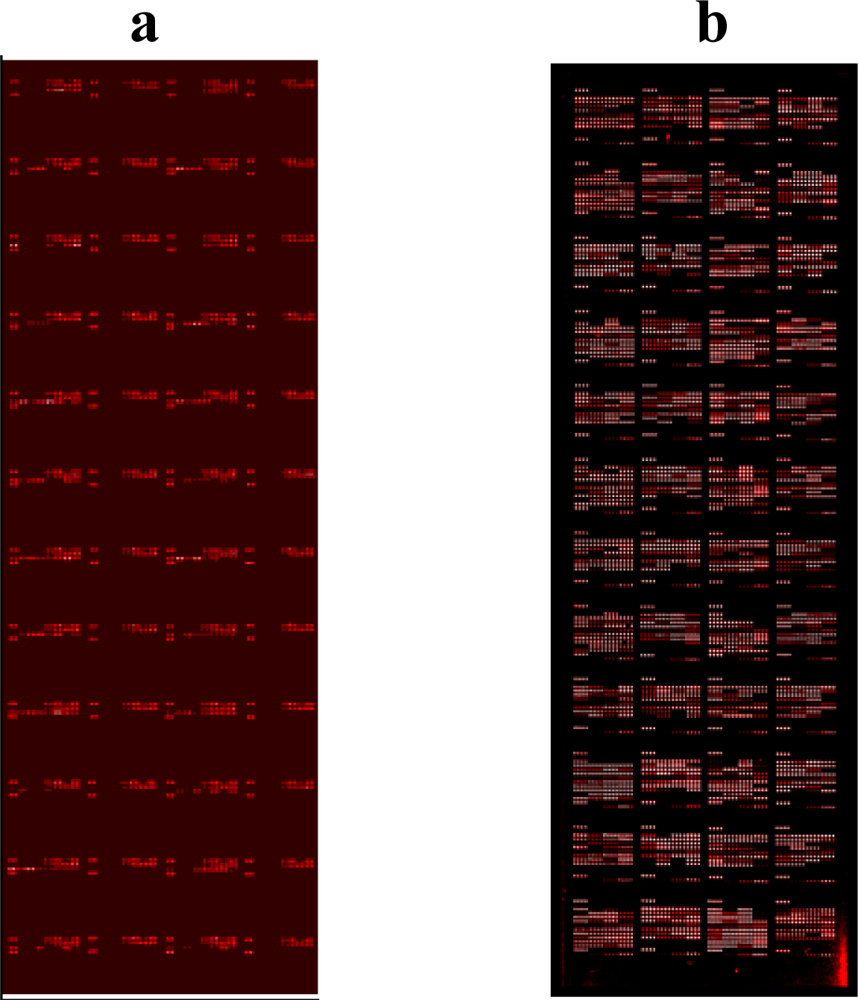 Ijms 11 05165f2