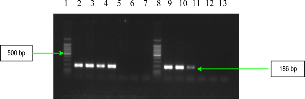 Ijms 11 05273f1