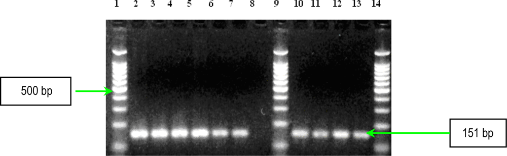 Ijms 11 05273f11