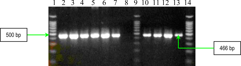 Ijms 11 05273f13