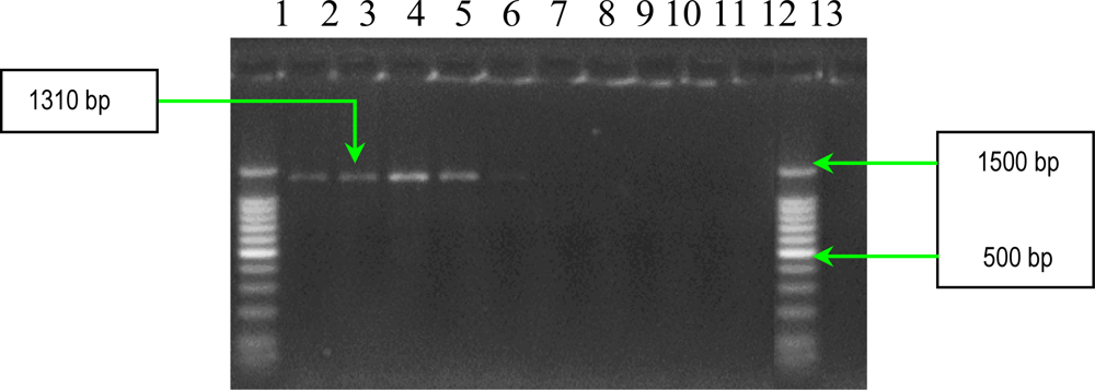 Ijms 11 05273f14