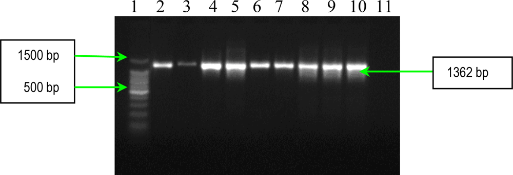 Ijms 11 05273f3