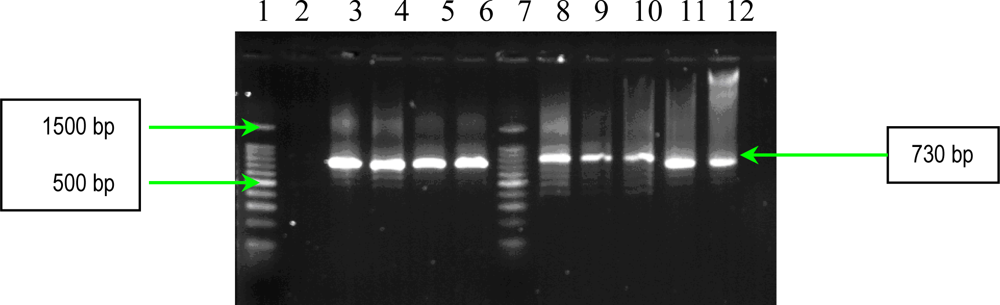 Ijms 11 05273f5