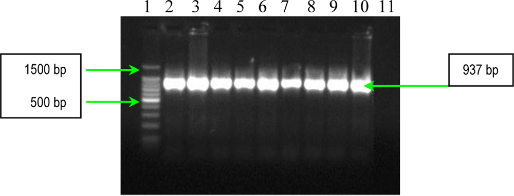 Ijms 11 05273f6