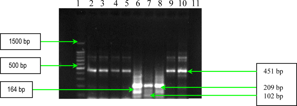 Ijms 11 05273f7