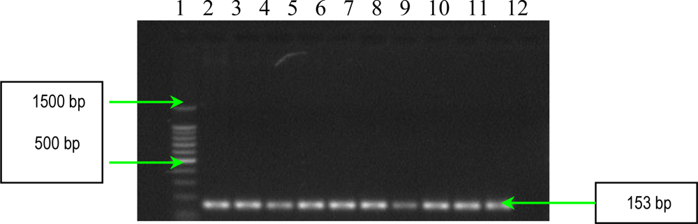 Ijms 11 05273f8