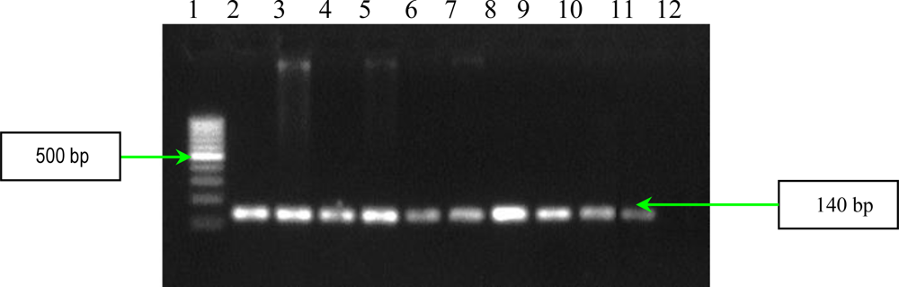 Ijms 11 05273f9