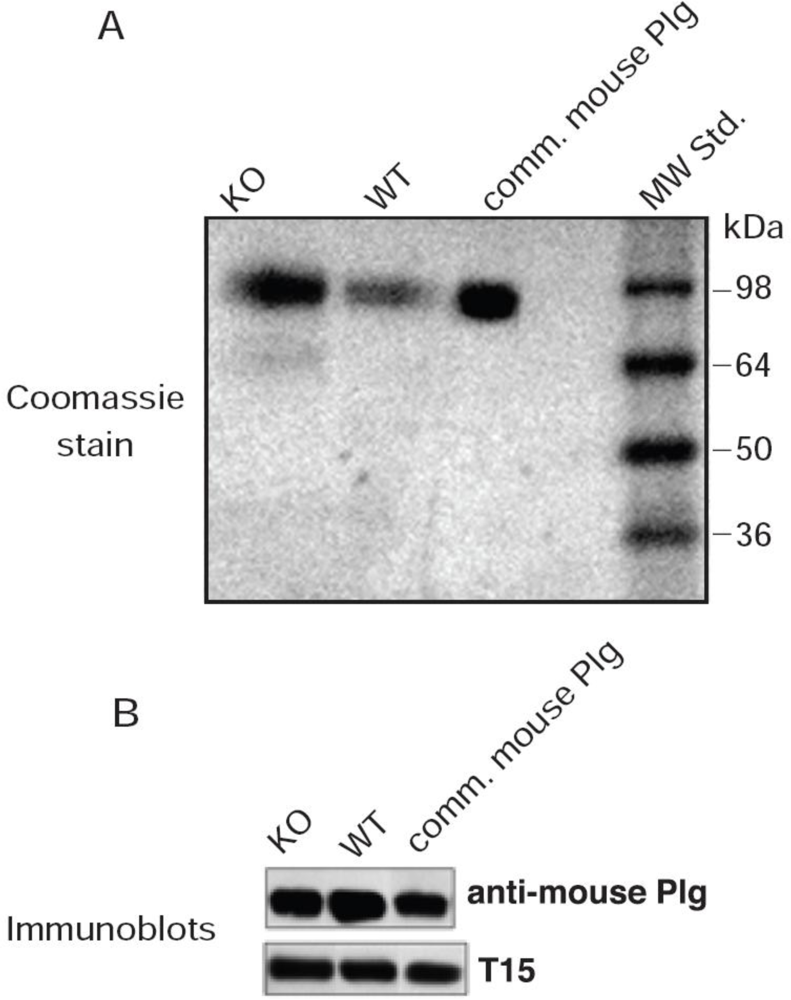 Ijms 11 05339f1