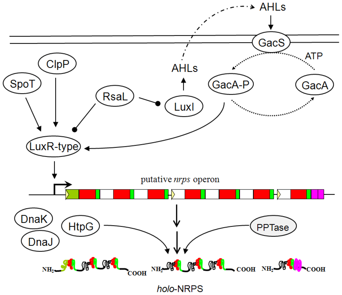 Ijms 12 00141f4