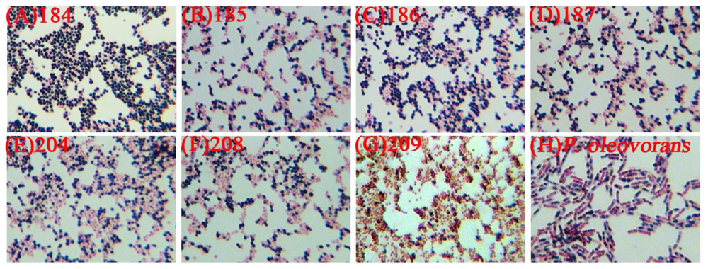 Ijms 12 00252f1