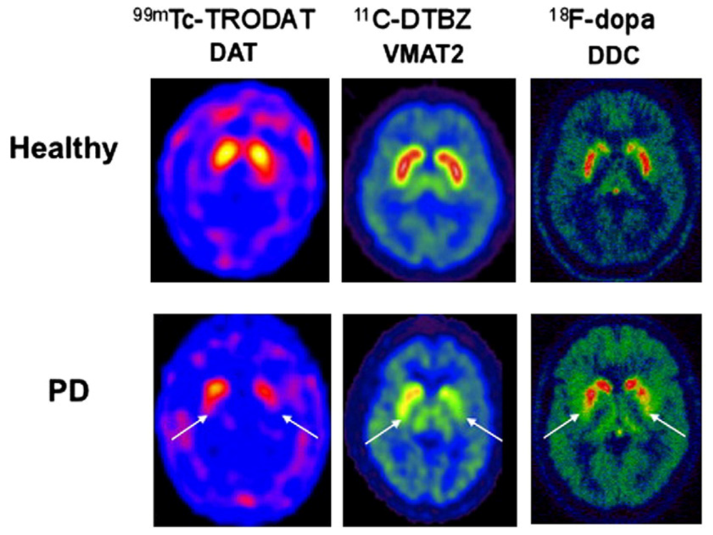 Ijms 12 00506f2 1024