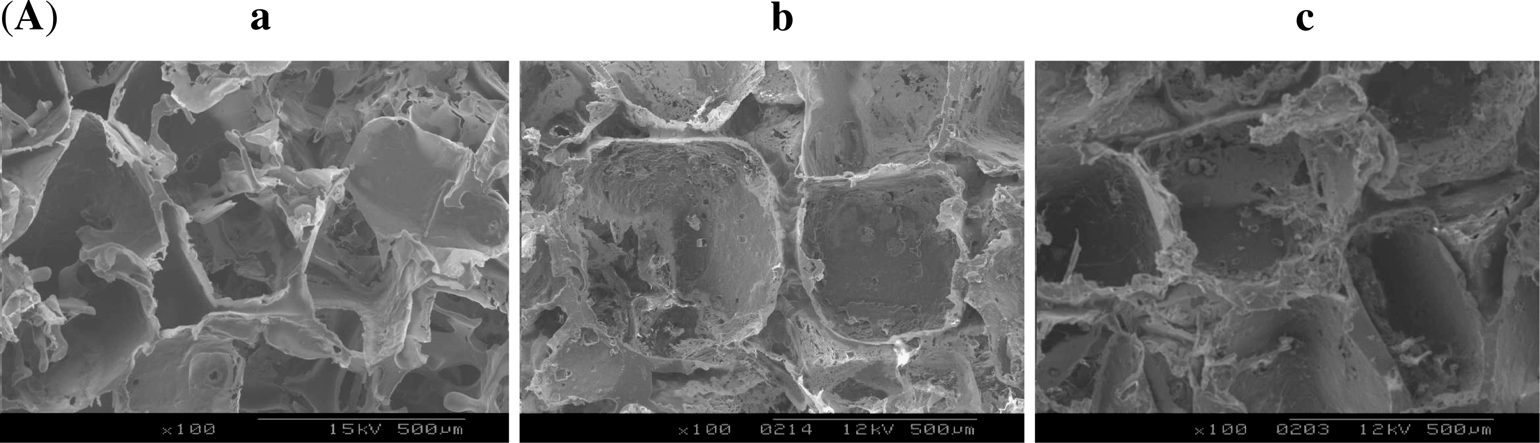 Ijms 12 00890f7a