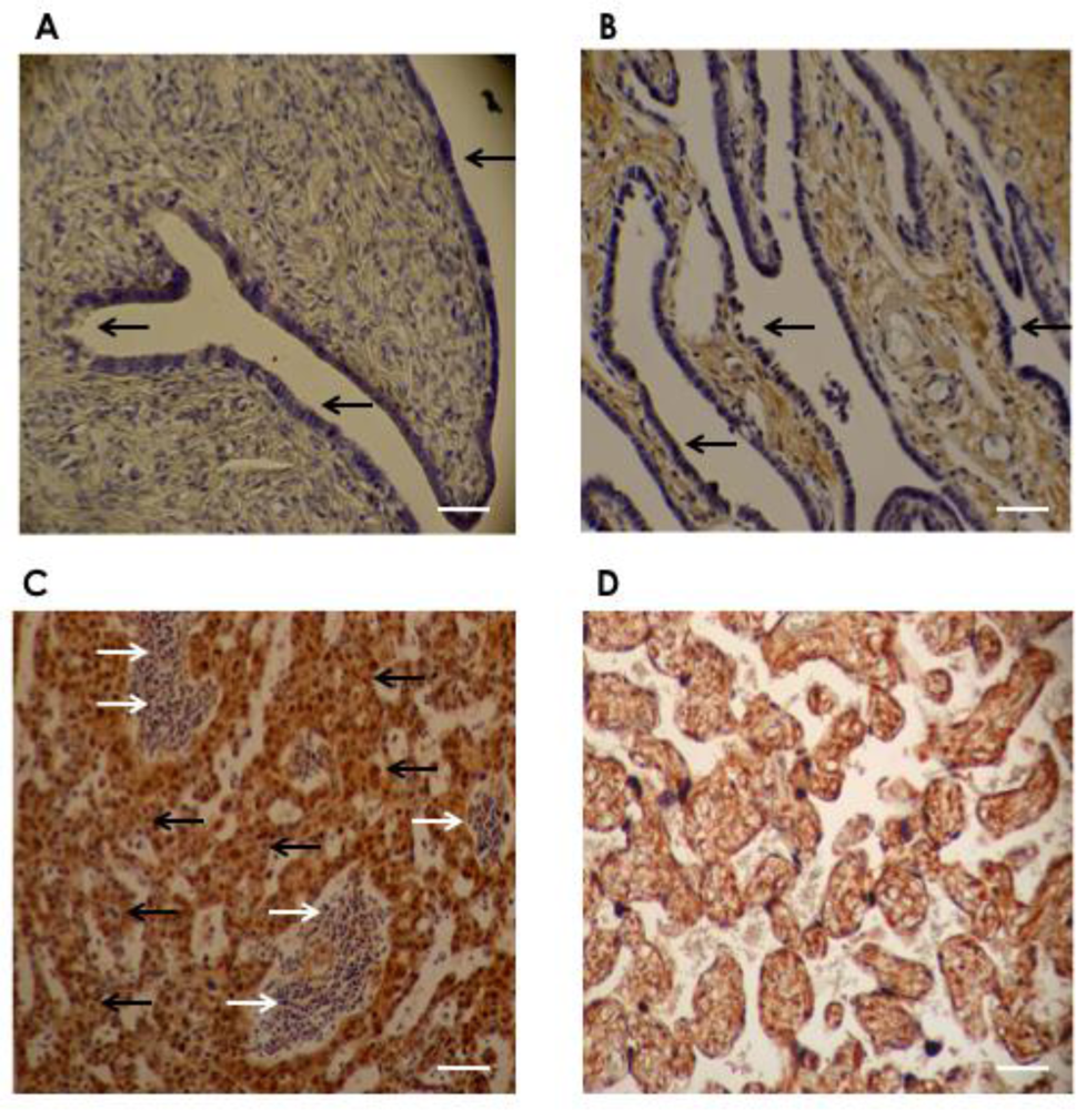 Ijms 12 00971f2