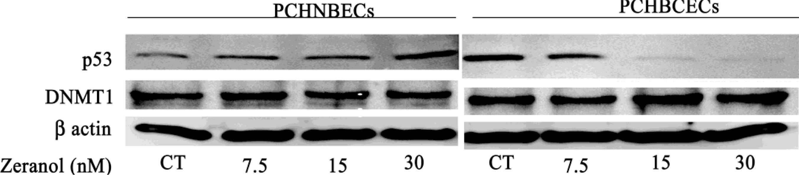 Ijms 12 01519f4