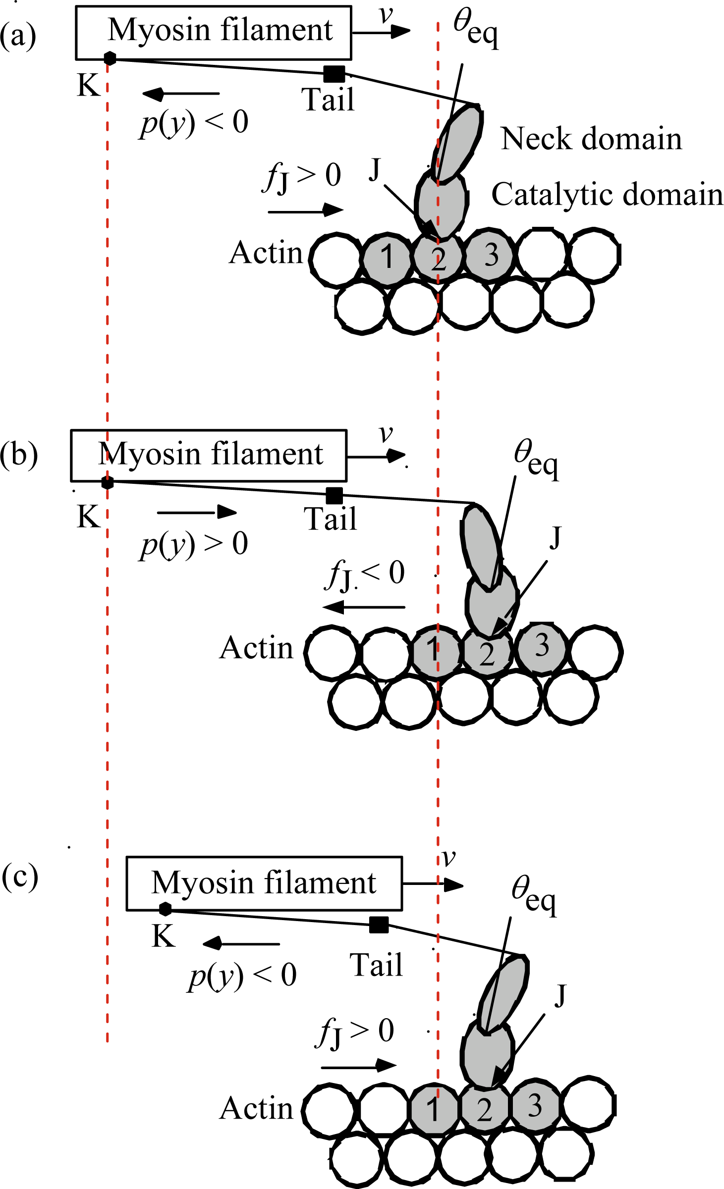 Ijms 12 01697f2