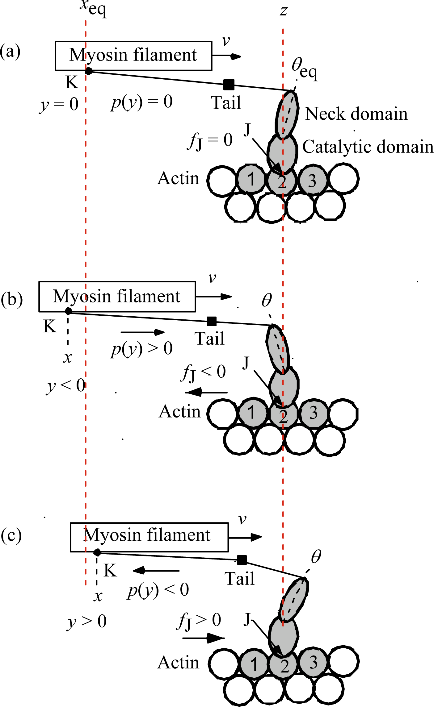Ijms 12 01697f4