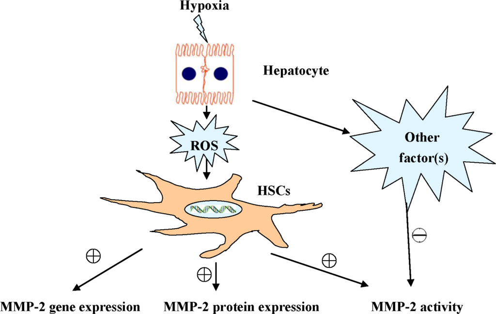 Ijms 12 02434f7 1024