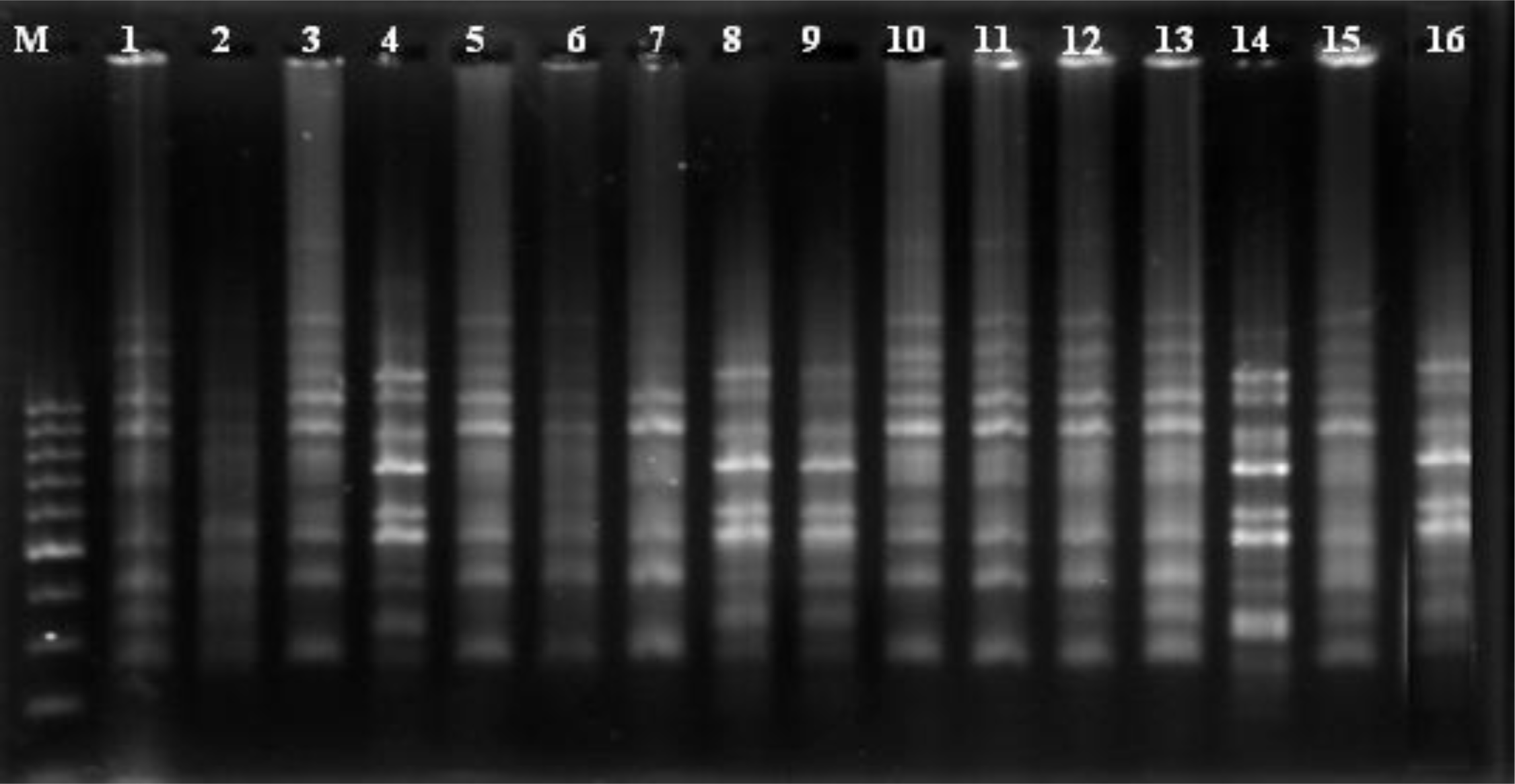 Ijms 12 02664f2