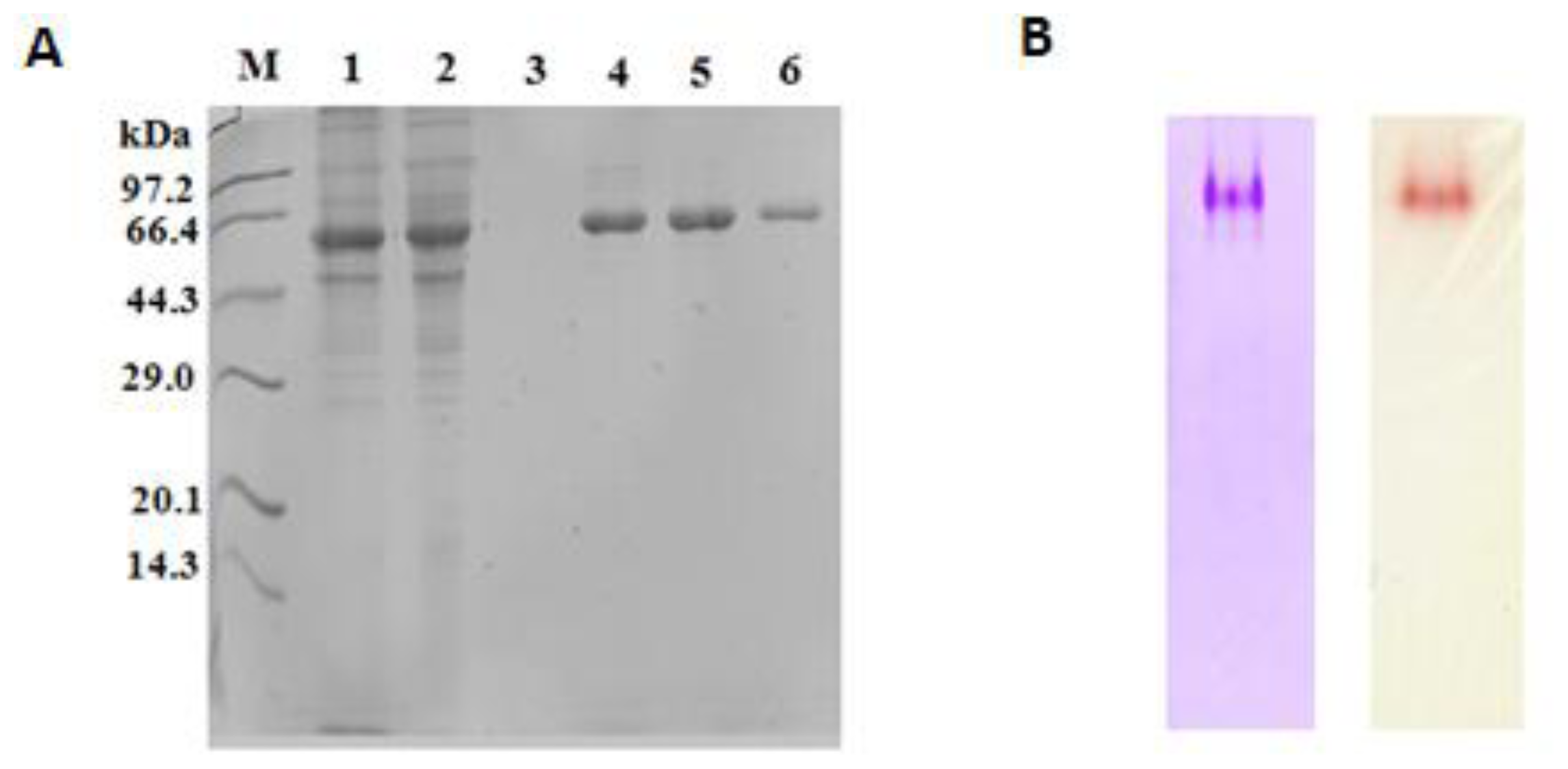 Ijms 12 03950f3