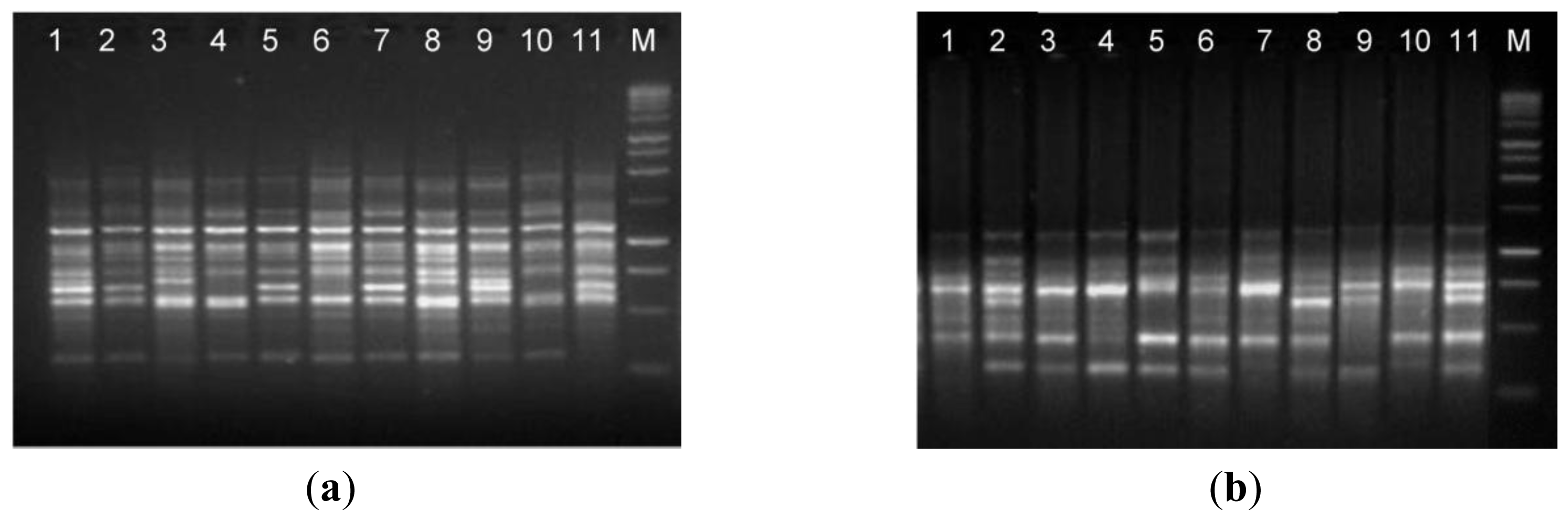 Ijms 12 04156f3