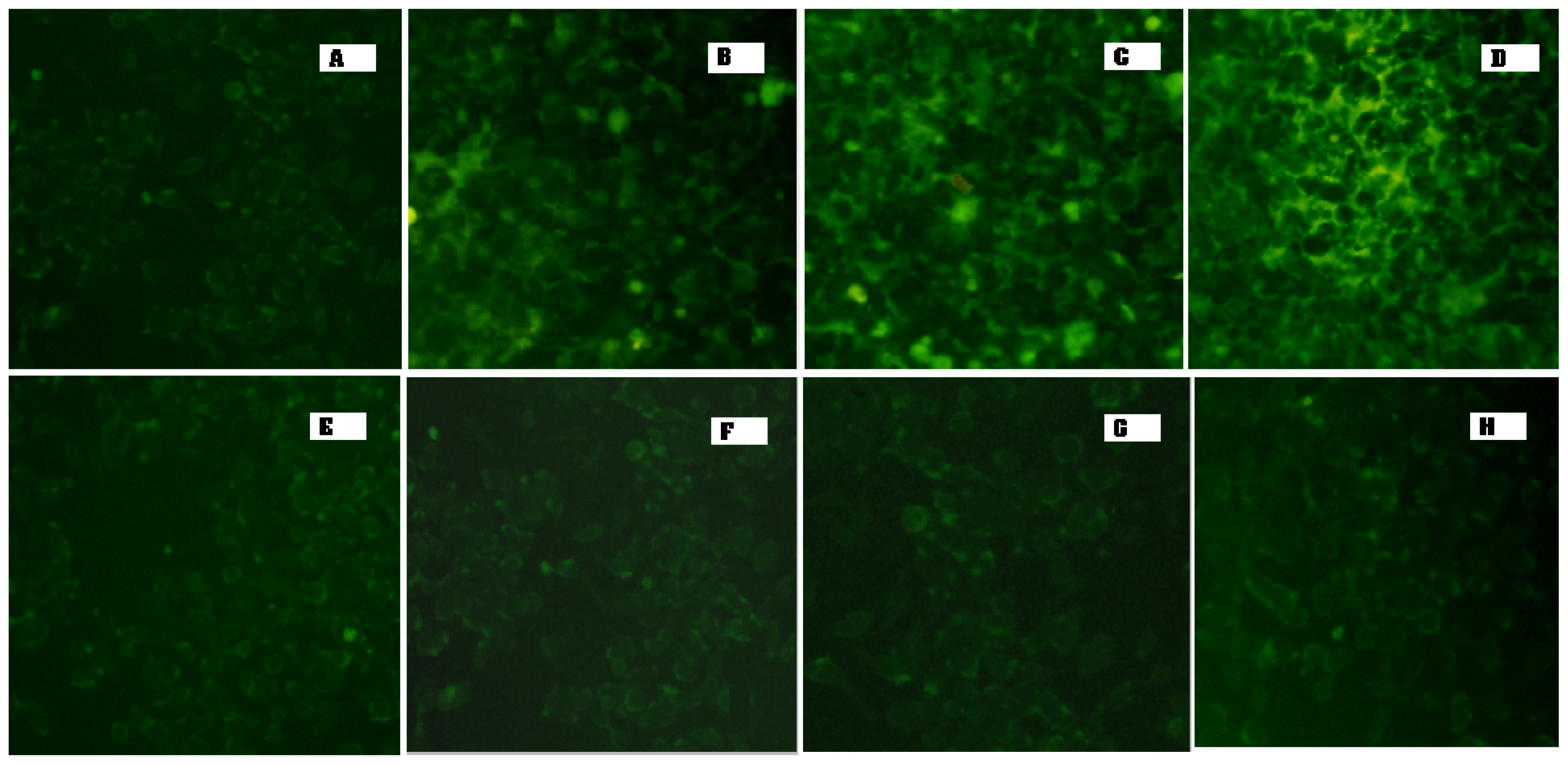 Ijms 12 04591f6