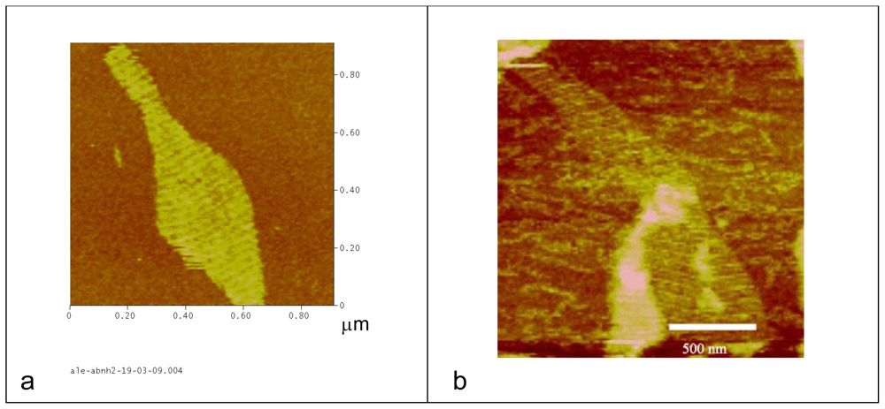 Ijms 12 05641f2