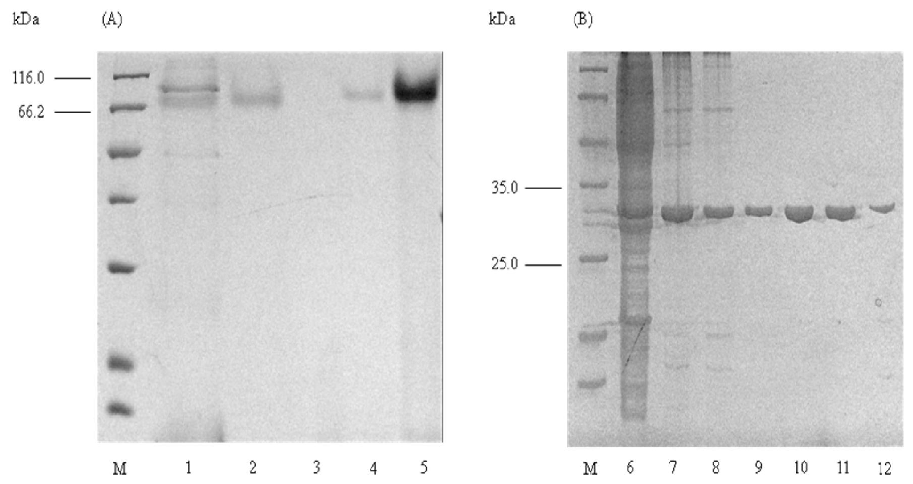 Ijms 12 05797f1