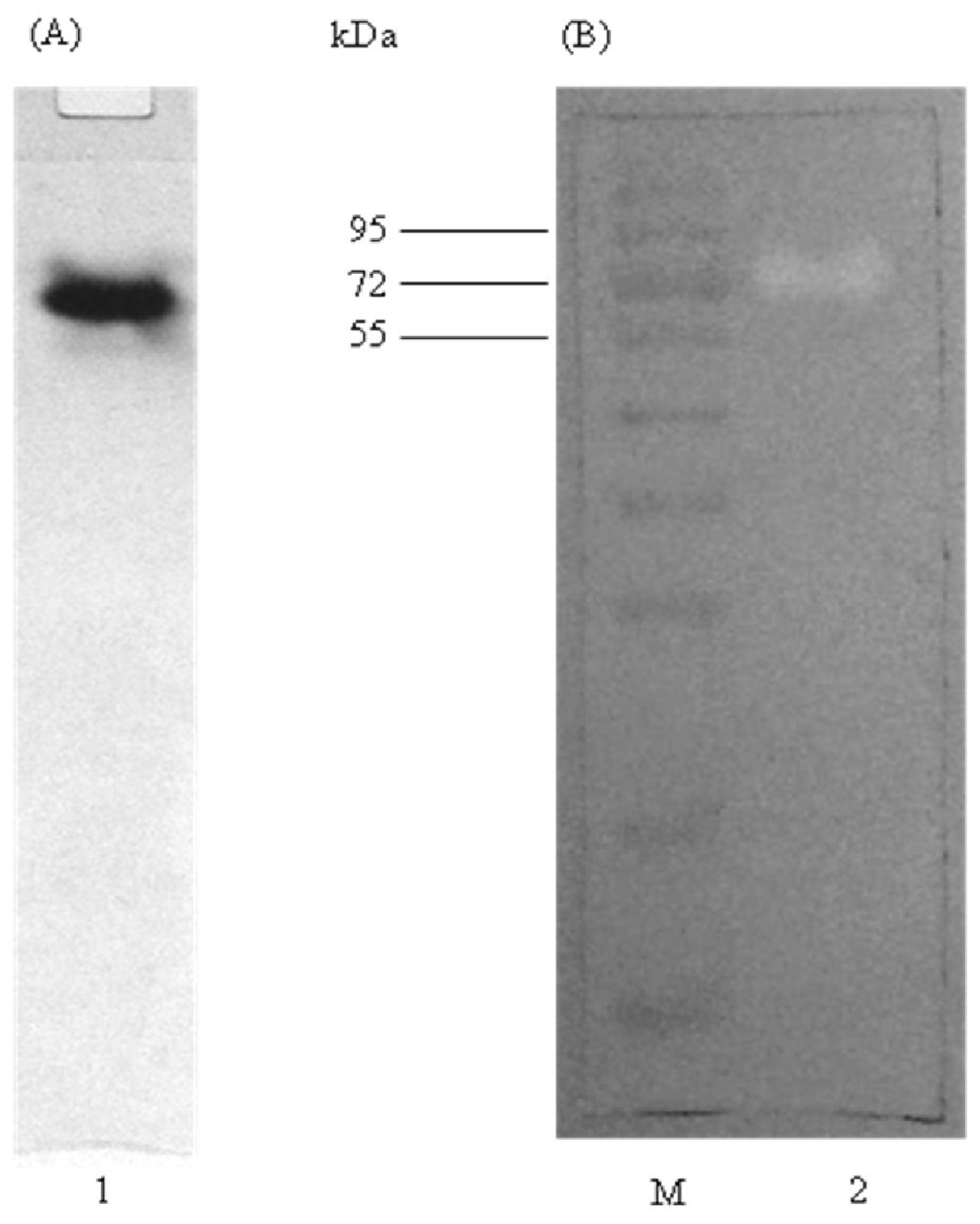 Ijms 12 05797f3