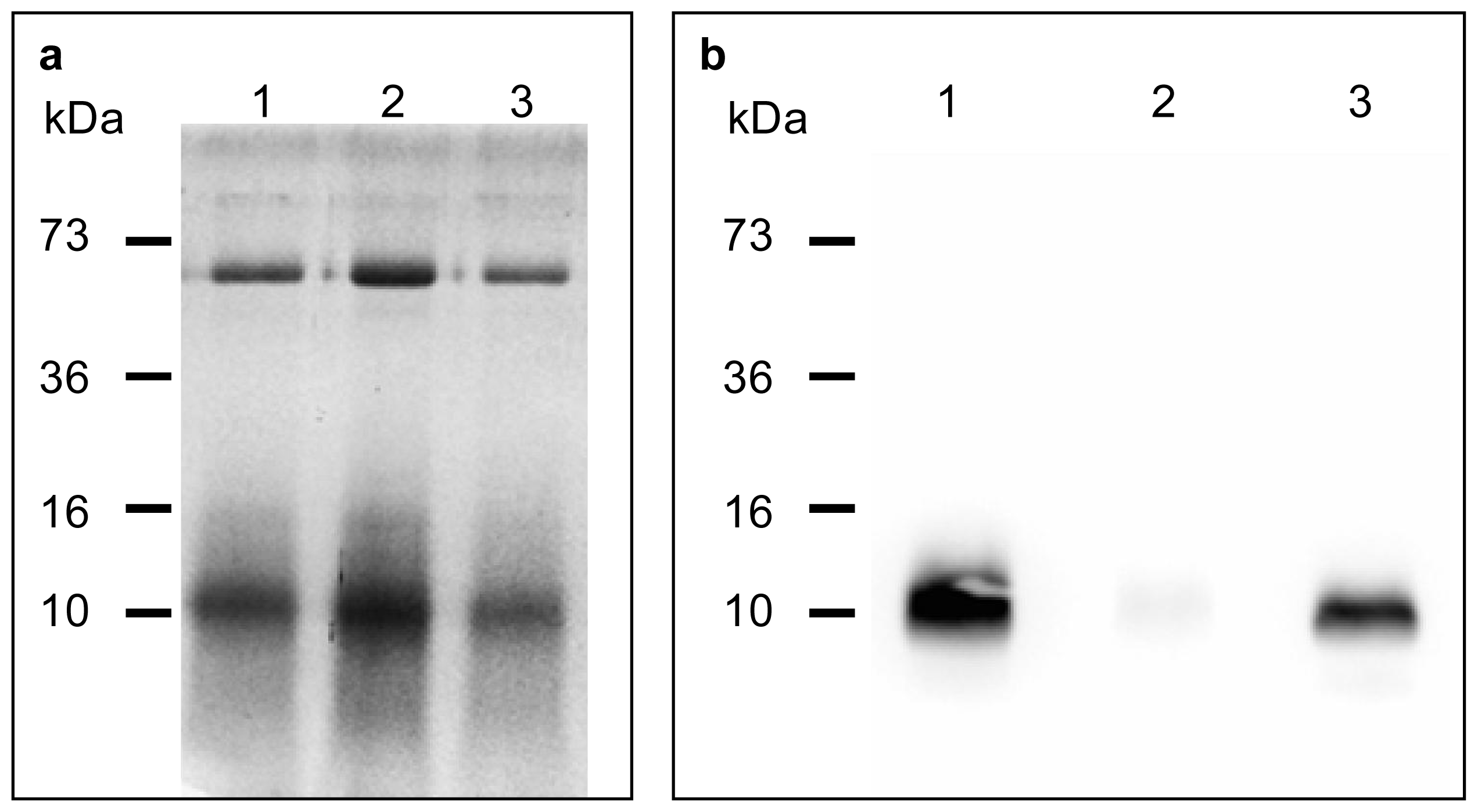 Ijms 12 06089f2