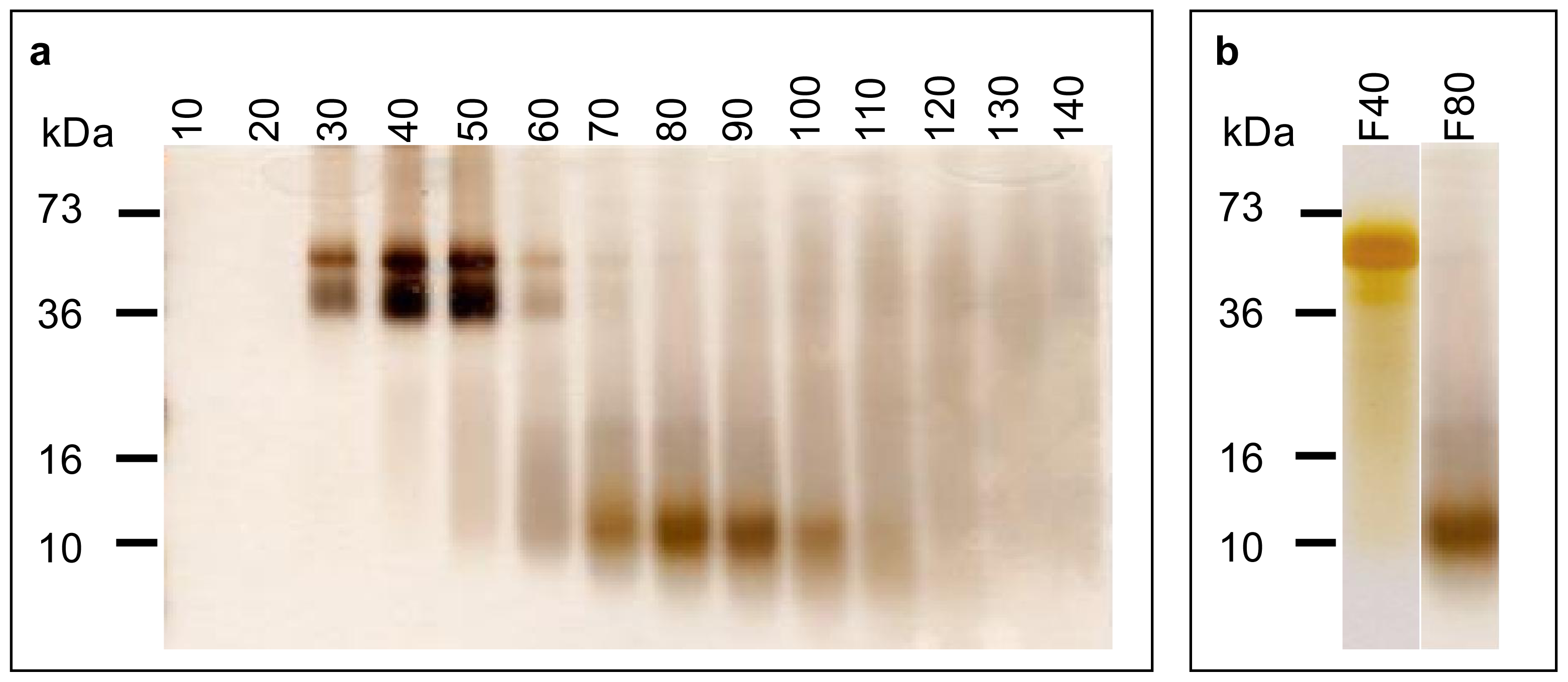 Ijms 12 06089f3a