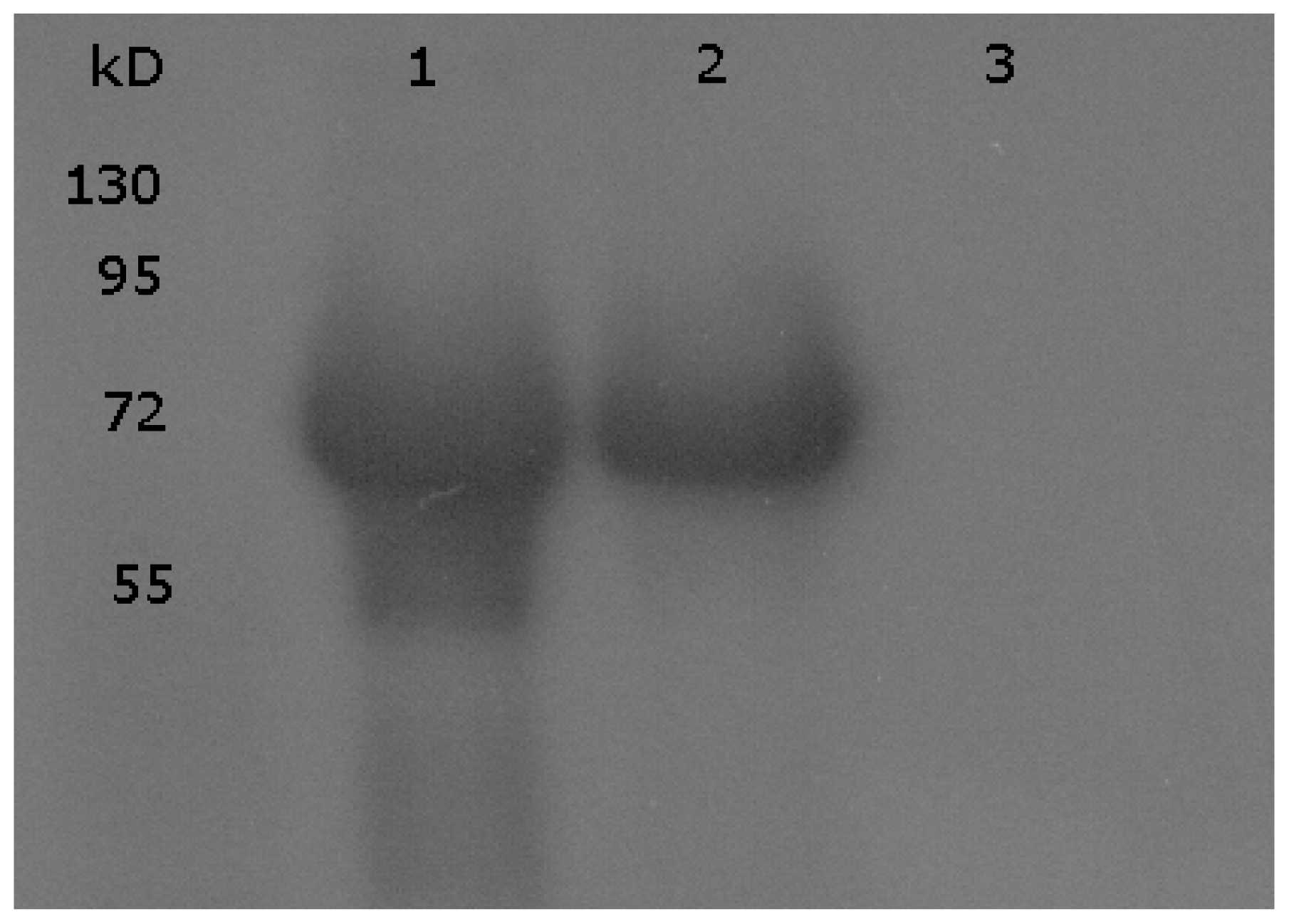 Ijms 12 07314f2