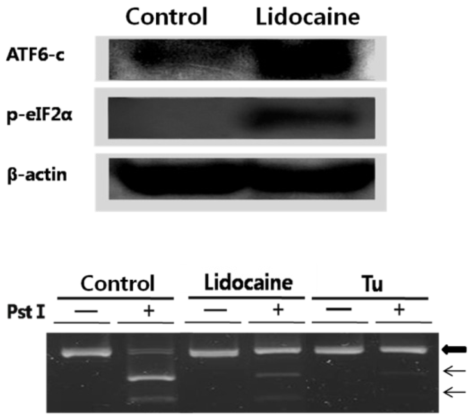 Ijms 12 07652f2
