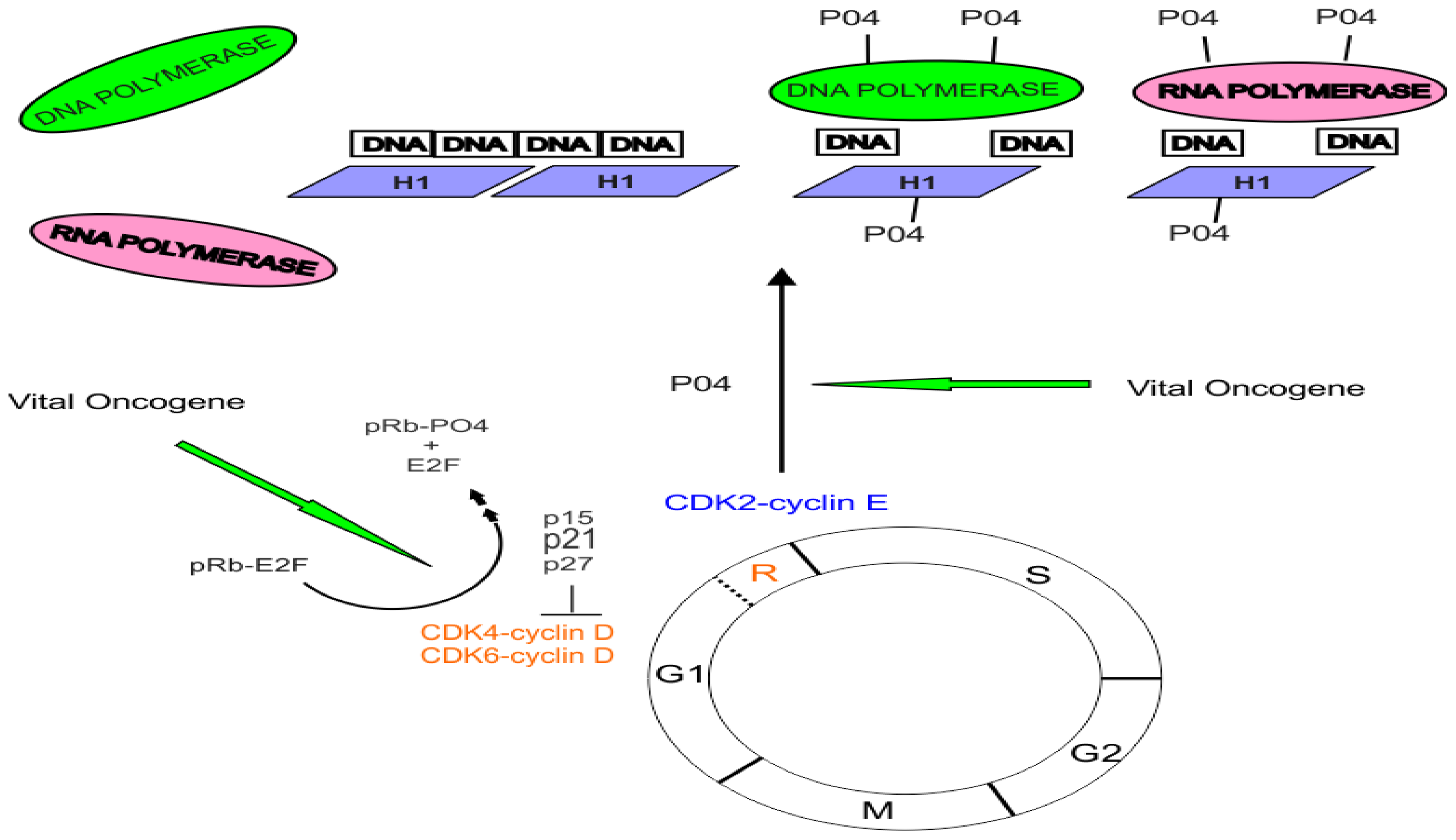 Ijms 13 00316f2